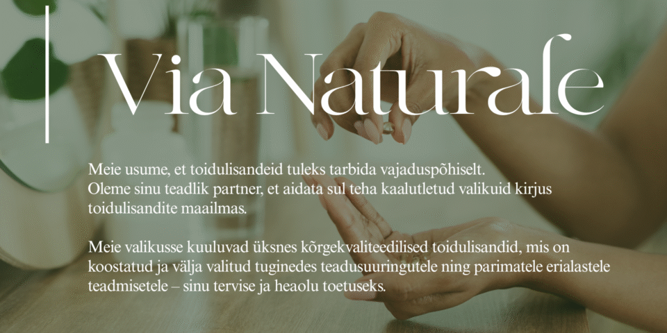 Uudiskirja vaheblokid (11)